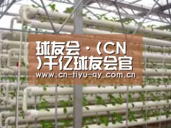 环境展示六