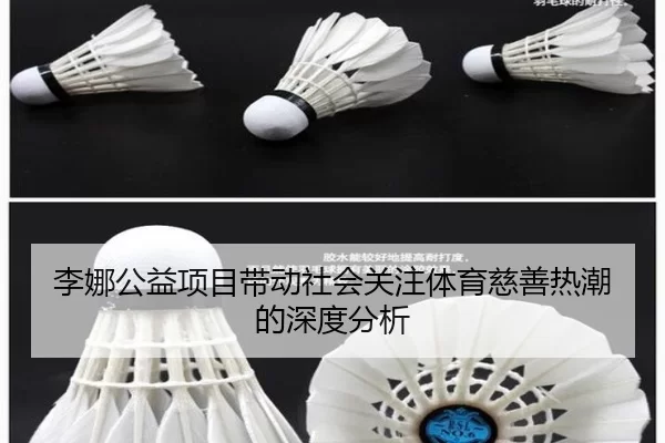 李娜公益项目带动社会关注体育慈善热潮的深度分析